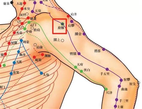 肩真穴|肩貞穴可改善肩胛疼痛,肩關節痛,乳腺炎